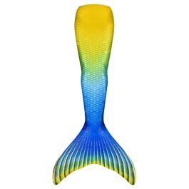 Ogon syreny niebiesko-żółty